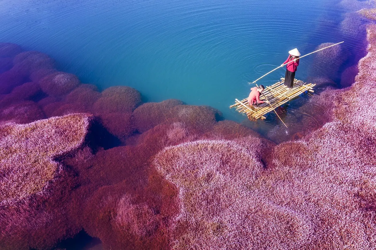 Hvad koster det at leje en saunatømmerflåde i Masurien?