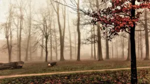 Hvorfor brød Januaropstanden i 1863 ud?