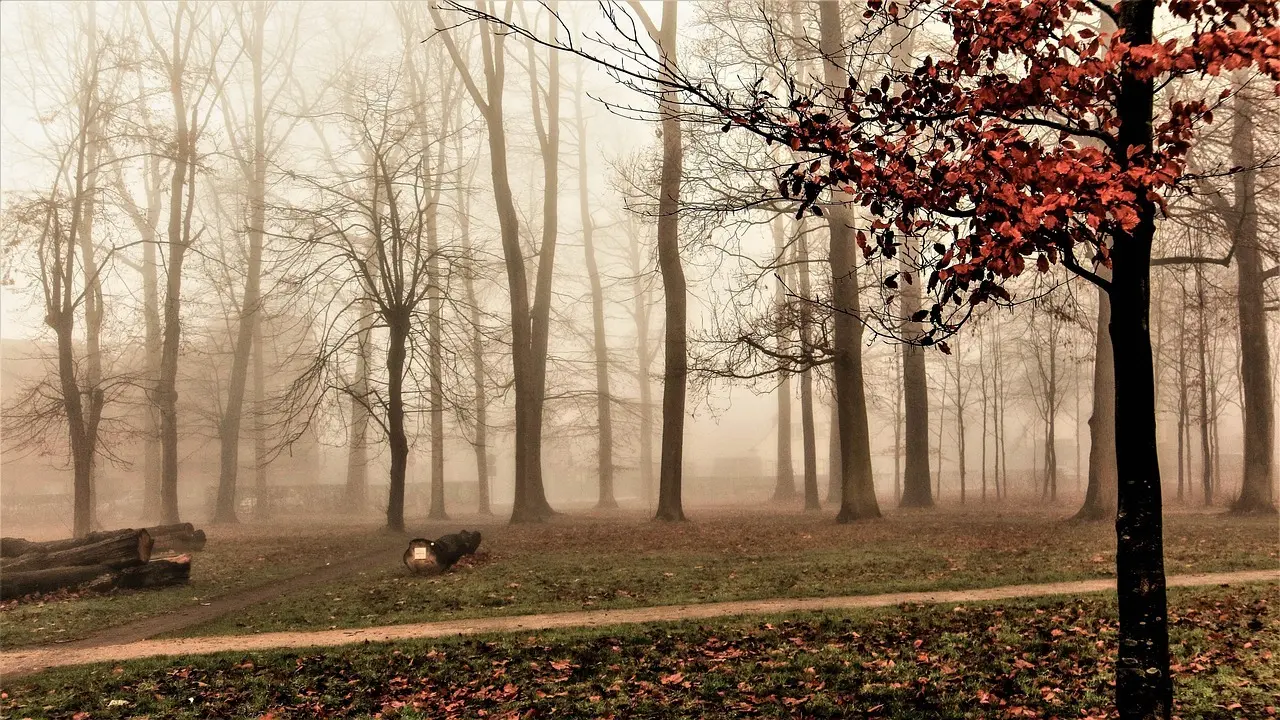 Hvorfor brød Januaropstanden i 1863 ud?